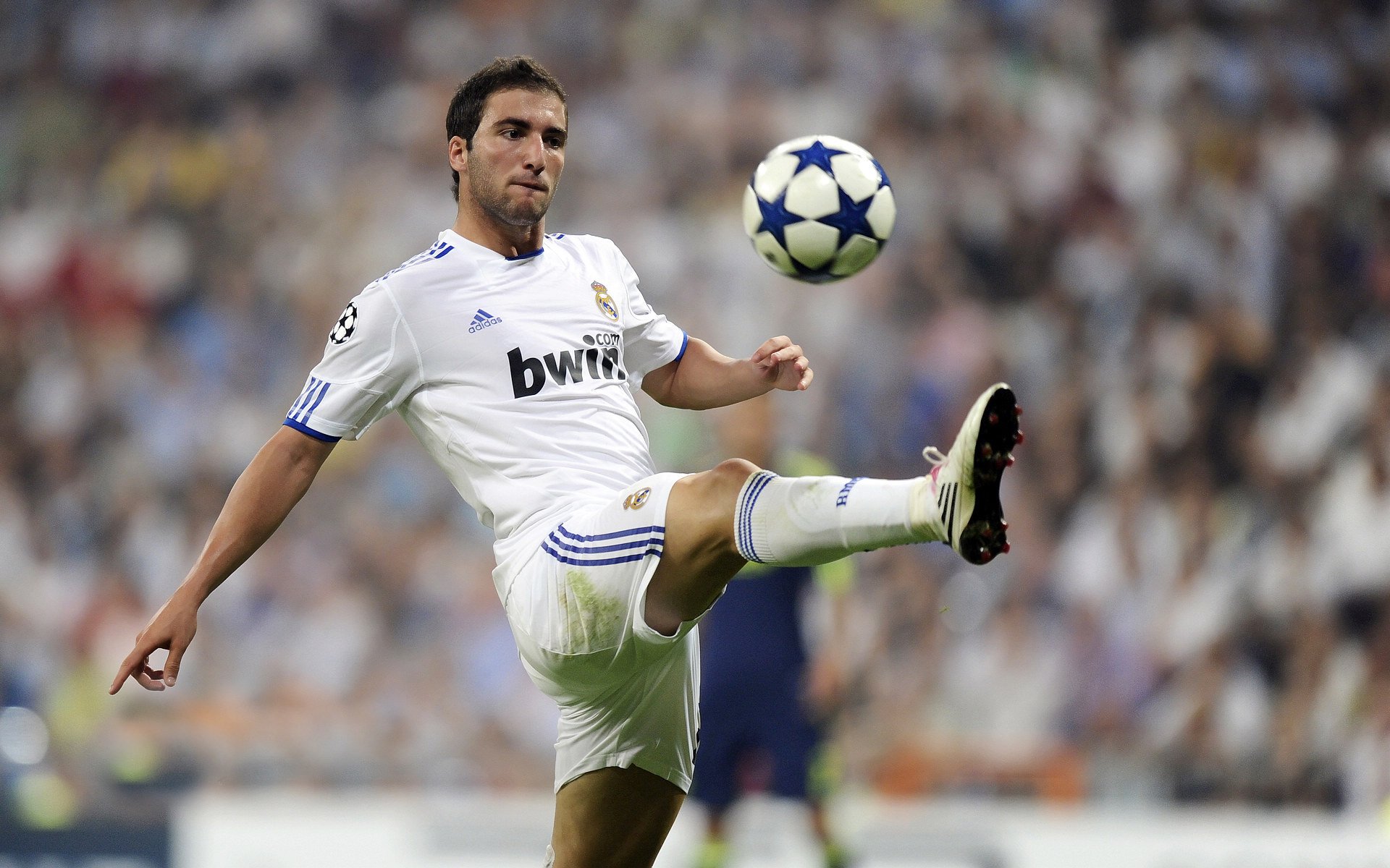 高尔夫赛事观众数量增长，高尔夫赛事预算